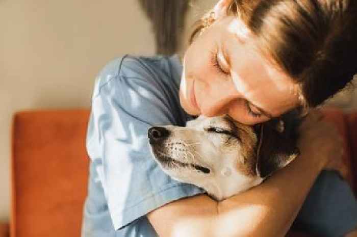 Dog trainer advises first-time owners against three specific breeds