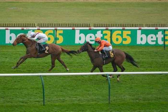 Young horse dies during Royal Ascot as TV presenter reveals heartbreaking news during live coverage
