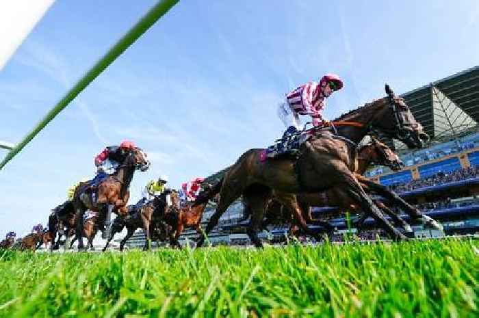 Royal Ascot horse dies seconds into race as ITV viewers left devastated