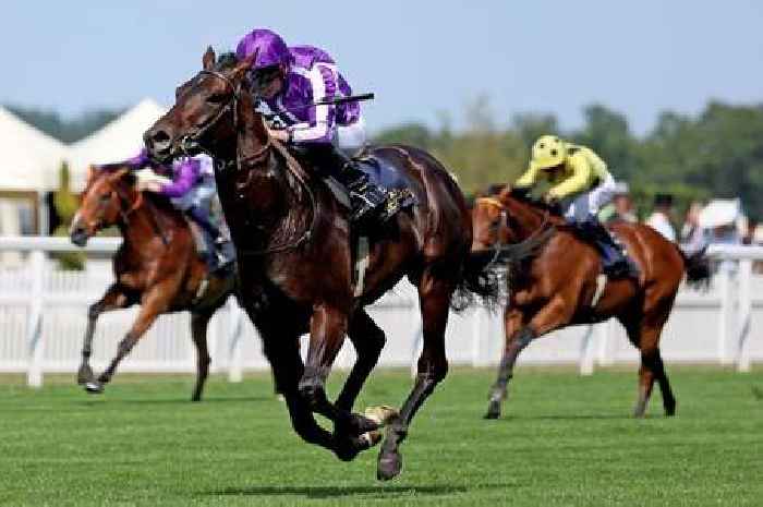 Wales has a new sporting superstar as Gstaad lights up Royal Ascot in front of royalty