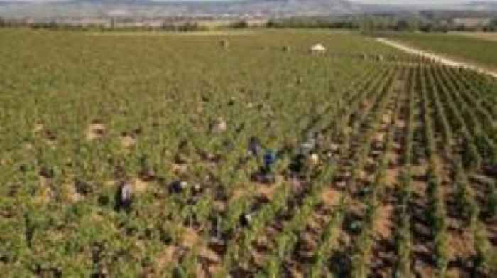 French trial exposes human trafficking among champagne workers