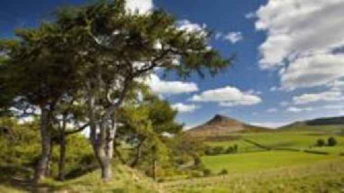 Green corridors 'will connect people with nature'