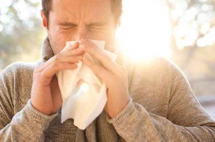 Hay fever sufferers warned hanging washing outside during heatwave could make symptoms worse