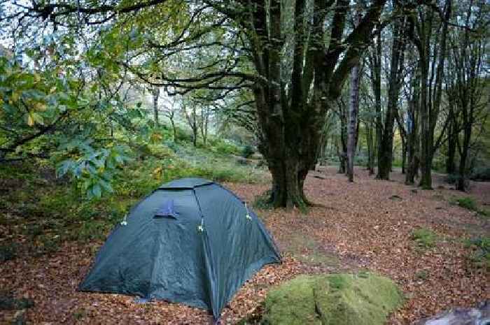 'Grim reality' as people sleeping rough in Devon's treasured beauty spots