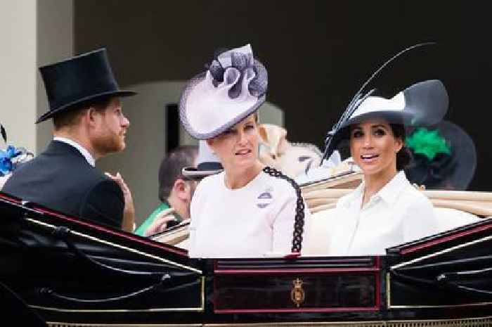 Sophie Wessex's two-word nickname emerges as she's tipped to 'replace Meghan and Harry'
