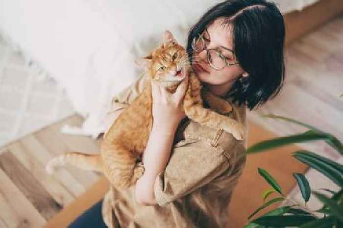 'My mum's spelling of my cat's name left me wheezing - he's 7 years old'