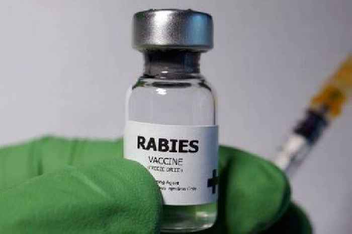 Rabies hotspots map reveals where you're most likely to be struck down with deadly disease