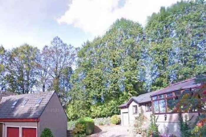 West Lothian lime trees in historic street saved from the chop
