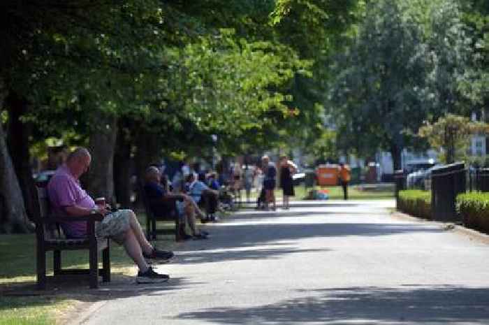 Public Health Wales issues 'stay indoors' heatwave advice as amber alert issued in England