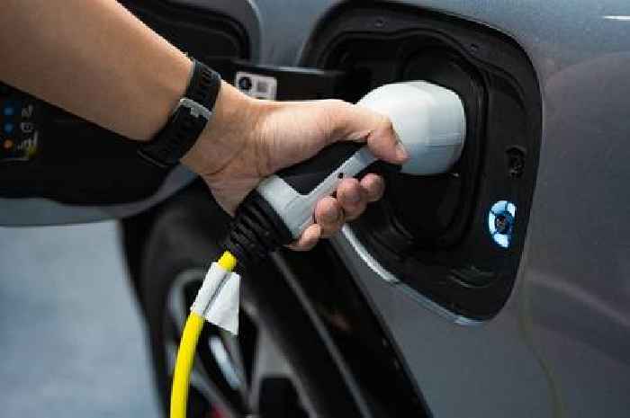 'We tested 10 plug-in hybrid cars and there was a clear winner'