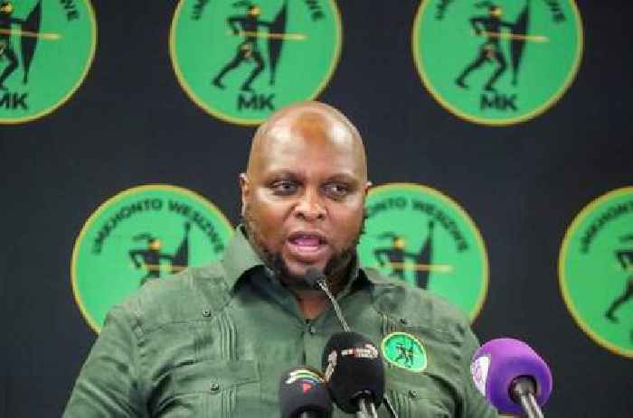 News24 | Former MKP secretary-general Shivambu announces ‘consultations’ to form new party