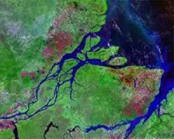 Brazil sells rights to oil blocks near Amazon river mouth