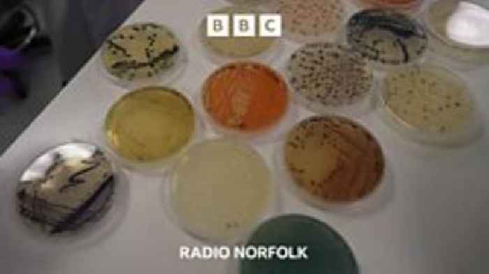 Microbes, dyes & Royal eyes on Norwich