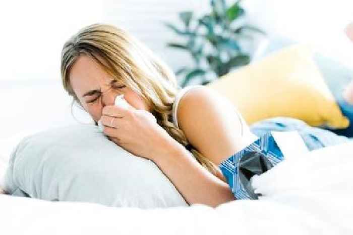 Hay fever symptoms ease after simple trick that just needs common household item