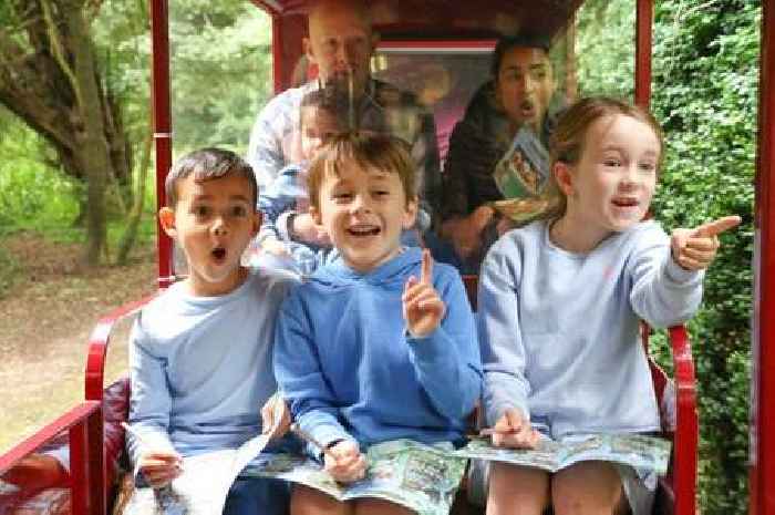 Essex's magical summer festival with miniature train rides and woodland fairies