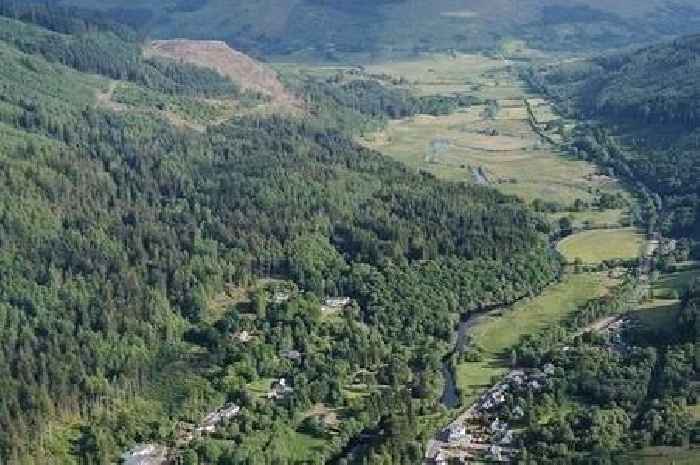 Tree felling plans in rural Stirling forest attracts major opposition in call for delay