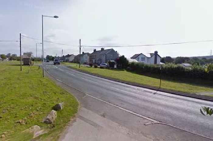 Van driver thought he'd hit a sheep but what he found was far worse