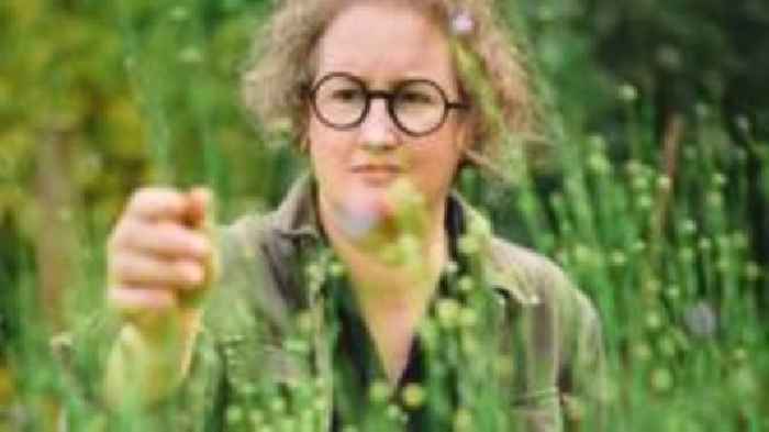 Specially grown crop used to create art exhibition