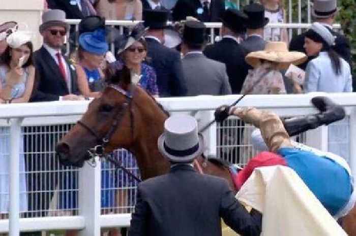 Royal Ascot chaos as jockey launched from winning horse amid utter mayhem at finish line