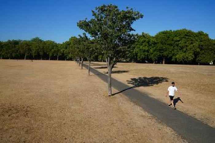 Nearly 600 people expected to die in UK heatwave as temperatures soar across the country