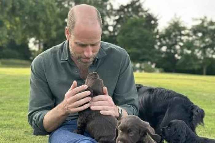 Prince William celebrates 43rd birthday with adorable image taken by his closest companion