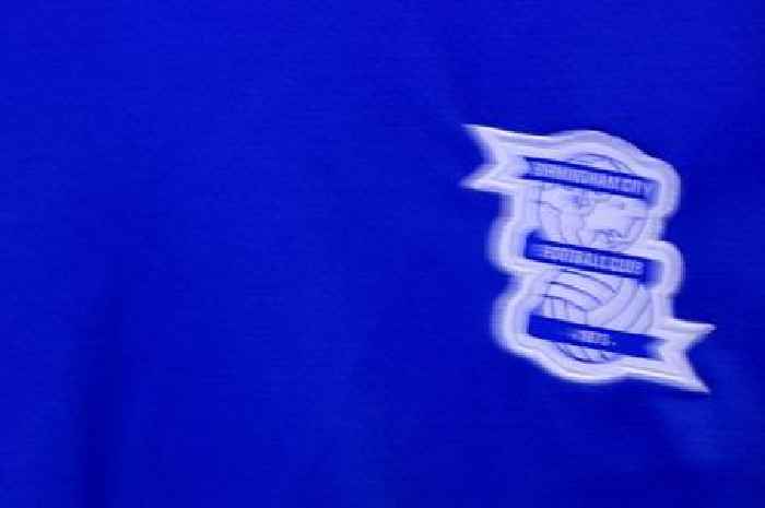 The numbers free for Birmingham City signings as Chris Davies plots transfer additions
