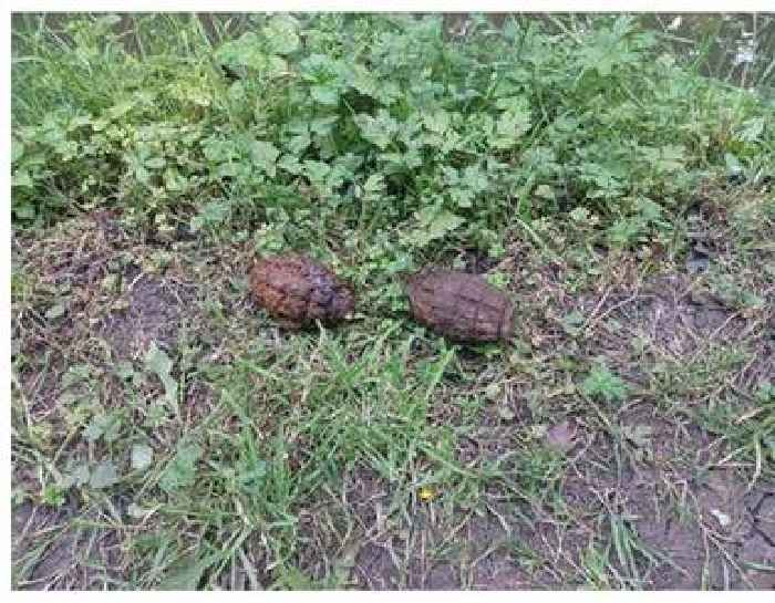 Midlands residents at 'significant risk' over five missing grenades