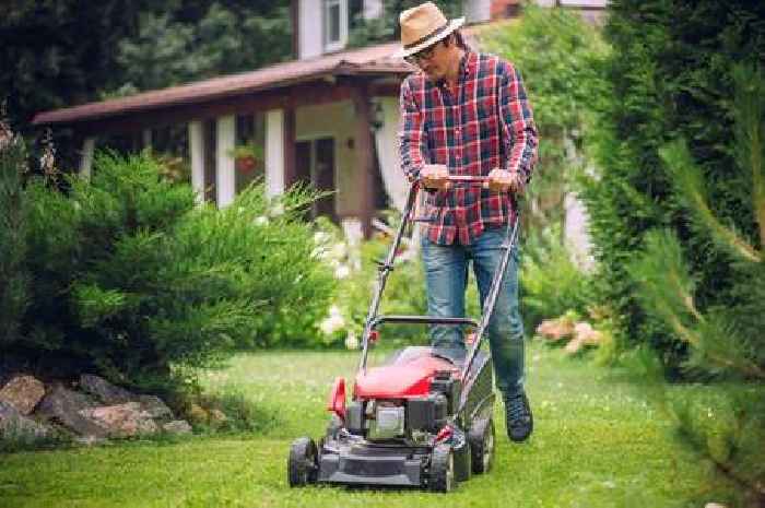 Monty Don says today is first day to do garden job