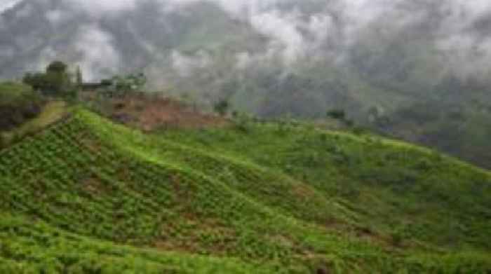 Dozens of soldiers seized in Colombian mountains