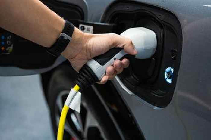 EON, Octopus, EDF, British Gas and OVO customers urged to take action by Monday