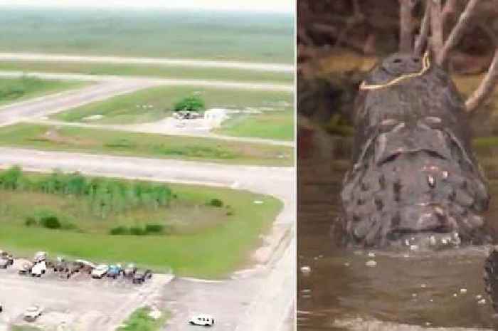 'Alligator Alcatraz' where immigrants face being locked up surrounded by 200,000 gators
