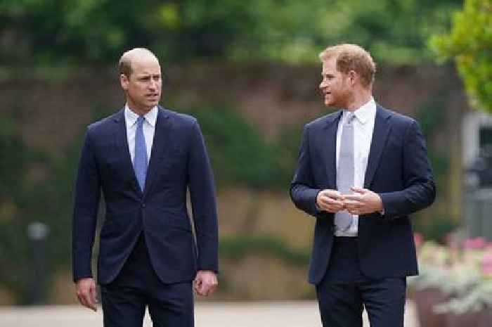 Prince William 'bemused' by Prince Harry comment as he makes Archie and Lilibet 'deicison'