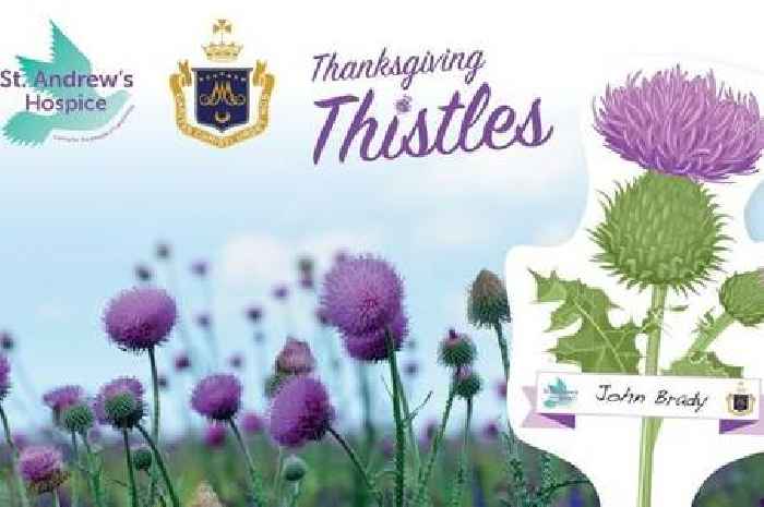 Join St Andrew’s Hospice's Thanksgiving Thistle summer campaign