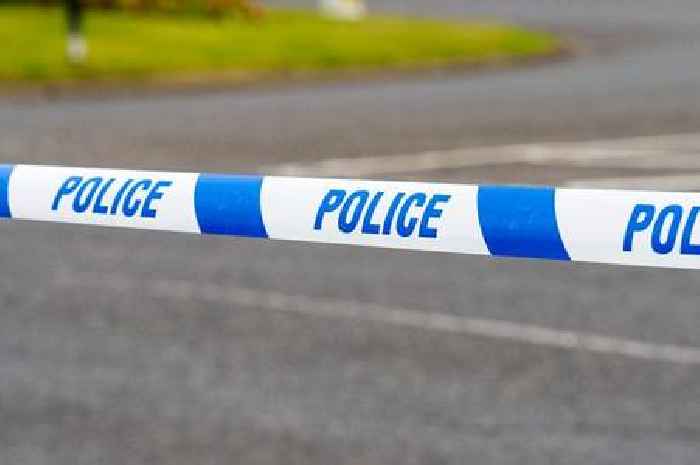 Woman dead, nine people injured in M4 motorway crash