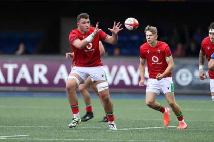 Wales find a 6ft 8in teenage giant who loves to 'beat up' opposition players