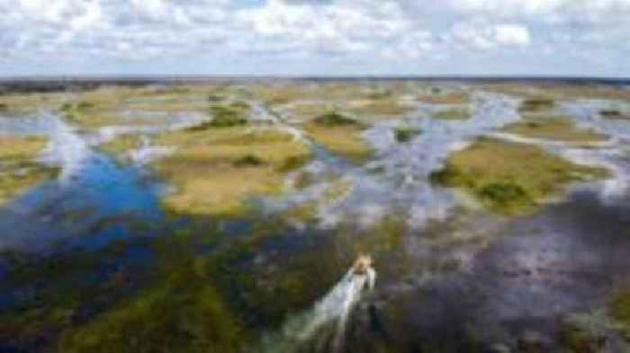 Florida building 'Alligator Alcatraz' migrant detention centre in Everglades