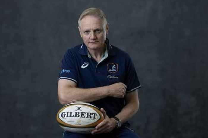 Australia rugby coach rejects Lions contract breach warnings