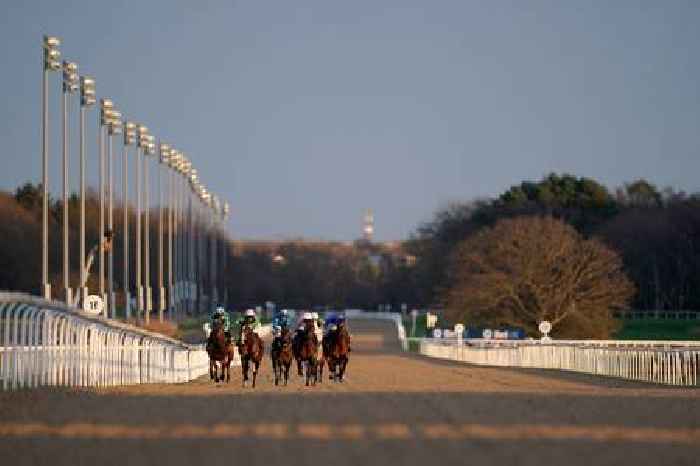 Pock to make mockery of mark in Plate Day opener