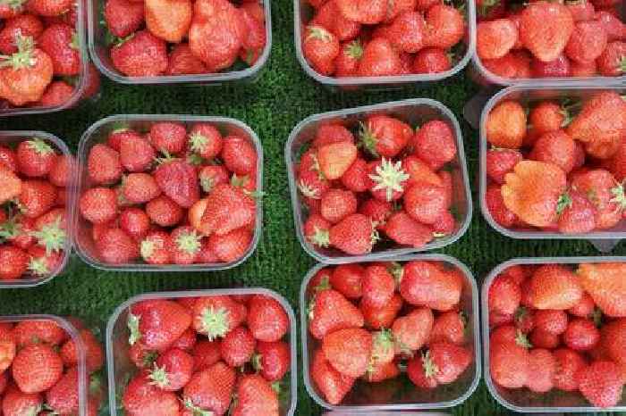 Sunny spring boosts grocers as Brits buy 2,400 packs of strawberries every minute
