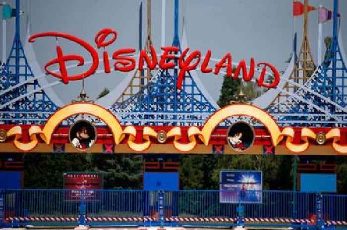 Brit, 22, arrested after 'wedding' with girl, 9, in Disneyland Paris