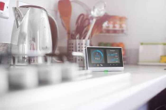British Gas, OVO, EDF, EON, Octopus customers could be handed £200 'reward'