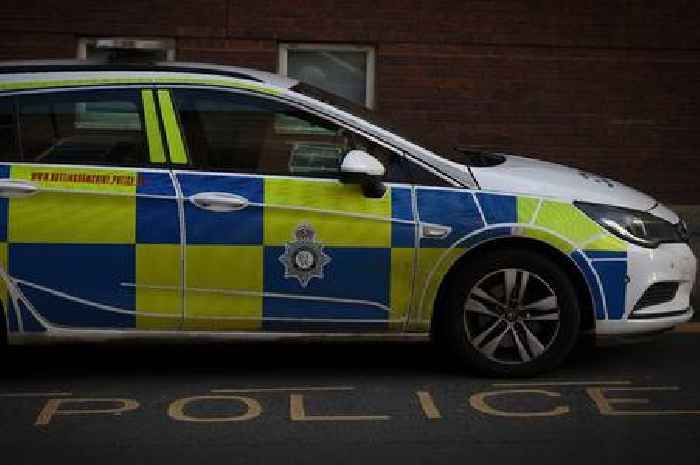 Girl, 14, 'booted' in face and dragged by hair in shocking attack