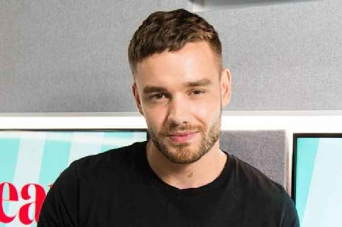 Liam Payne features as guest judge in trailer for new Netflix music contest