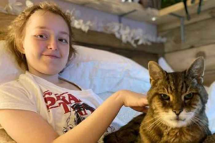 Girl, 12, died from rare cancer after parents saw sign while she brushed her teeth