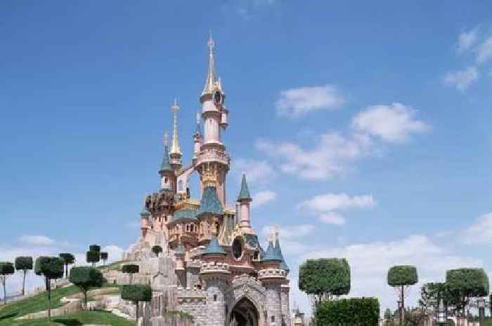 British man arrested at Disneyland Paris after 'wedding' with girl aged nine