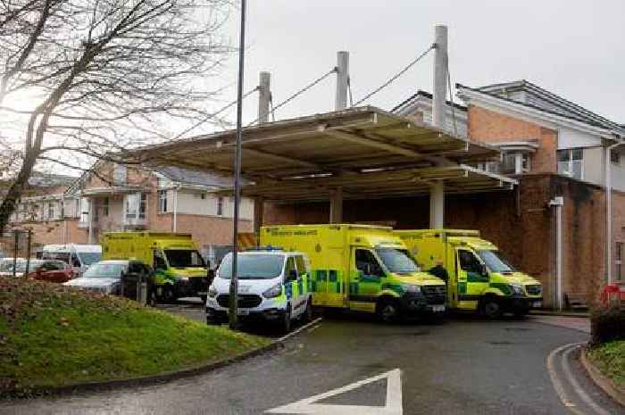 Woman dies after 14-hour ambulance wait