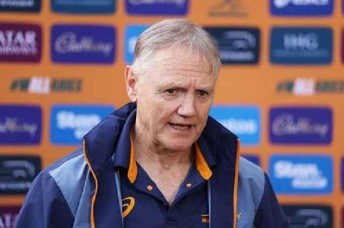 Wallabies coach hits back at Lions as breach of contract warning is rejected