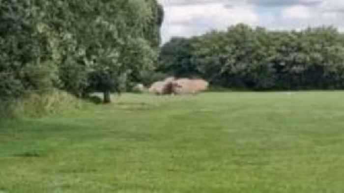 Unexploded WW2 bombs found in relative's belongings