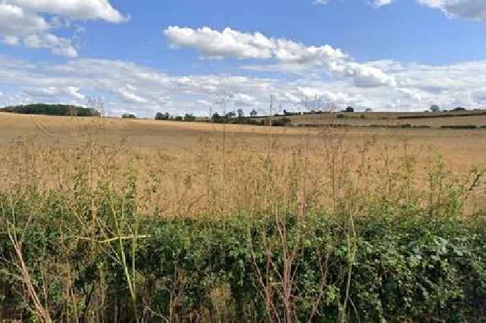 Battery farm on Roman fort thrown out due to fears of loss of countryside
