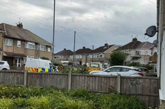 Investigation uncovers truth of remains found in Bromley Heath